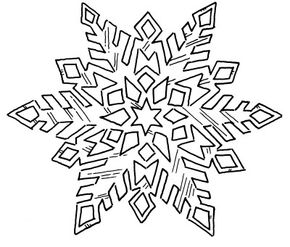 Examine the differences between snowflakes.