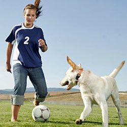 Your kids and dog will have a blast playing soccer together.