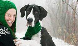 Great Danes are known for their size, but they fit right in with most families.