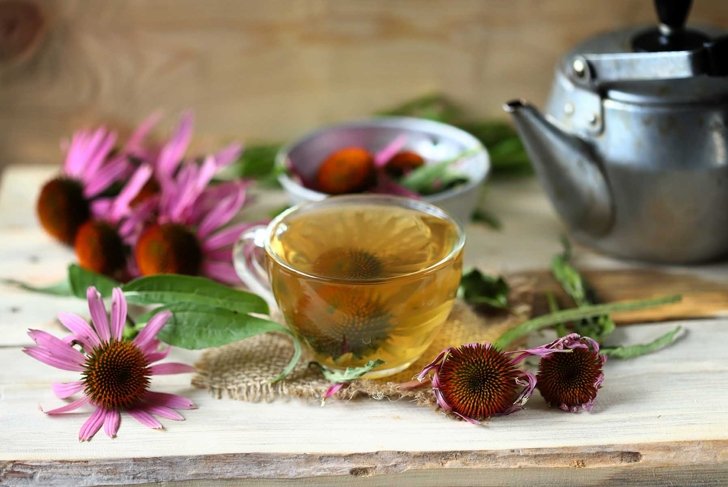 Selective focus. Echinacea tea in a cup. Echinacea flowers. Teapot and a cup of tea.