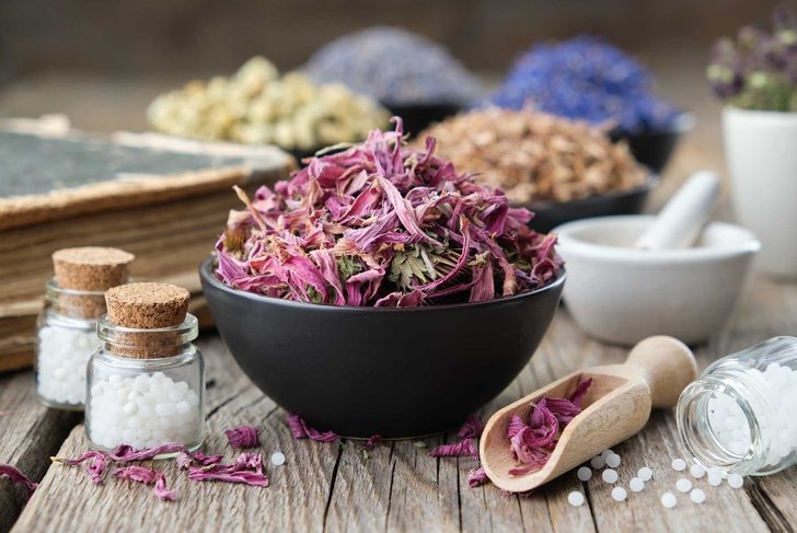 Bottles of homeopathic globules, healthy echinacea flowers in black ceramic bowl, books, mortar and medicinal herbs on wooden board. Homeopathy medicine.