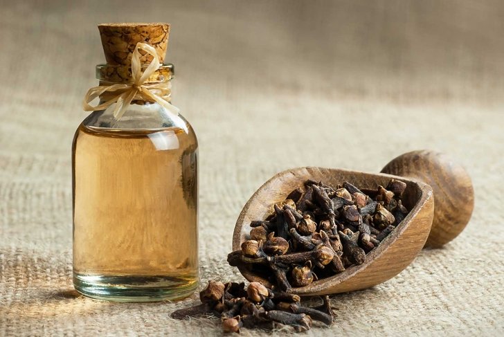 Close up glass bottle of clove oil and cloves in wooden shovel on burlap sack. Essential oil of clove rustic style background spice concept