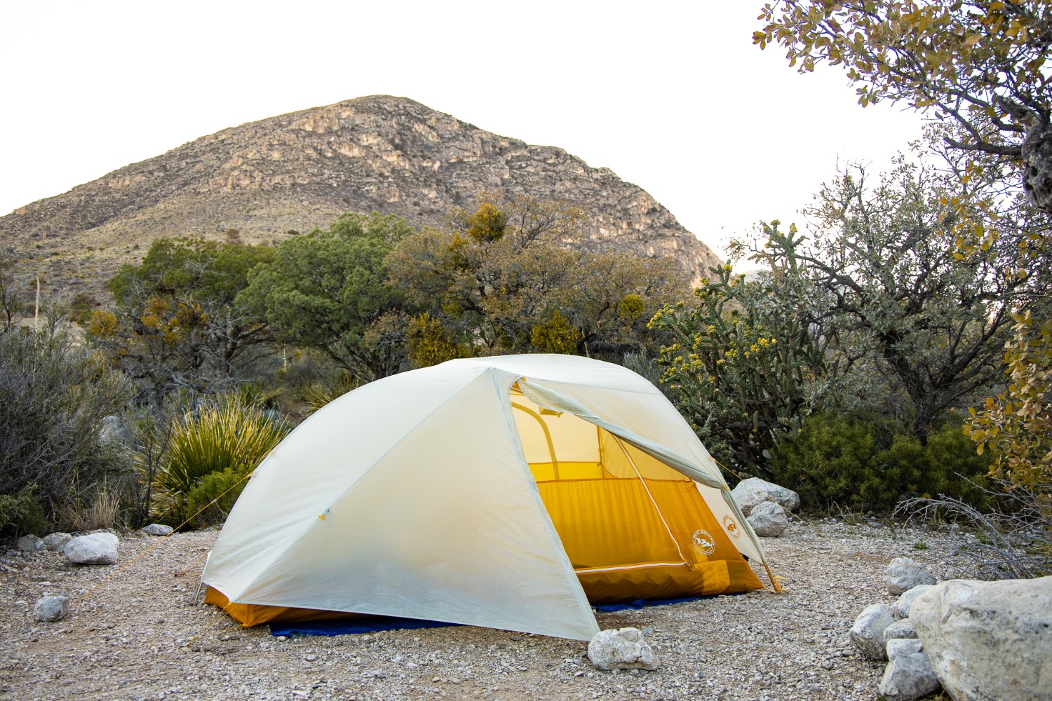 Camping 101 - choosing a spot for your tent in a clearing